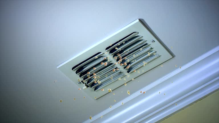 Best Air Duct Cleaning Near Me  in Hudson, IL
