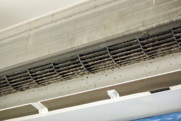 Best Ductwork Cleaning Services  in Hudson, IL